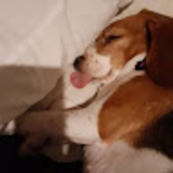 Meet your Posher, Melanie - Picture 1 of 2